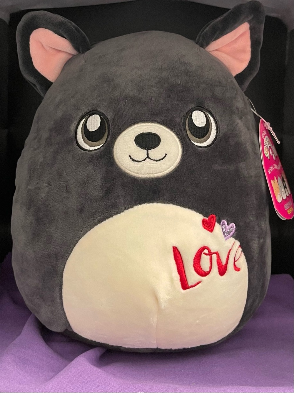 NWT Squishmallows George the Boston Terrier 8” plush Valentines Day Squad